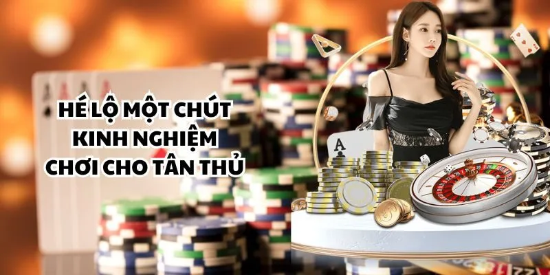 Hé lộ một chút kinh nghiệm chơi cho tân thủ Hé lộ một chút kinh nghiệm chơi cho tân thủ