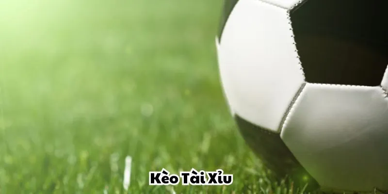 Tiết lộ bí quyết đọc kèo bóng đá Tài Xỉu ngon ăn nhất